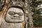 Totem Face in Tree
