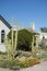 Totem Pole cacti in xeriscaped front yard