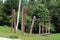 Totem poles near the forest