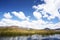 Totora plantation Puno View from the Cruise Boat of Lake Titicaca, Puno, Peru, South America