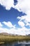 Totora plantation Puno View from the Cruise Boat of Lake Titicaca, Puno, Peru, South America