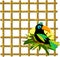 Toucan with Bamboo Grid