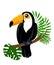 Toucan bird cartoon character. Cute toucan flat isolated on white. South America fauna. Guinea pig icon. Wild animal illust