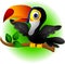 Toucan bird cartoon presenting