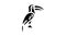 toucan bird glyph icon animation