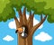 Toucan bird in hallow tree