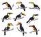 Toucan bird icons of exotic tropical animals
