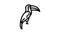 toucan bird line icon animation