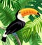 Toucan bird in the rainforest. color illustration