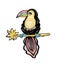 Toucan bird stylized illustration, clipart single element isolated on white background