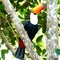 Toucan in the Brazilian forest.