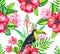 Toucan and cammelias, tropical seamless patern.