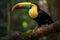 Toucan (Central and South America) (Generative AI)