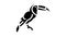 toucan exotic bird glyph icon animation