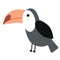 Toucan flat illustration