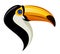 Toucan head