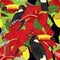 Toucan hibiscus rosa tropical seamless pattern