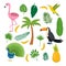 Toucan, hummingbird and flamingo. Summer tropical graphic