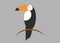 Toucan icon. Cartoon illustration of toucan vector icon for web. Toucan flat style vector logo template isolated, grey background