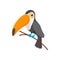 Toucan icon, cartoon style