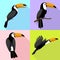 Toucan icons set, flat style