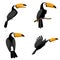 Toucan icons set, flat style