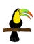 Toucan perched on a tree branch