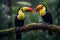 Toucan in the rainforest of Borneo, Malaysia, Two toucans sitting on the branch in the rainforest, AI Generated