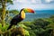 Toucan in the rainforest of Costa Rica, Central America, Toucan overlooking the Amazon rainforest, AI Generated