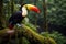 Toucan in the rainforest of Costa Rica, Central America, A toucan overlooking the Amazon rainforest, AI Generated