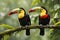 Toucan sitting on the branch in the forest, green vegetation