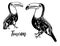 Toucan sketch set, tropical bird in different positions. American forest toco toucan bird. Exotic wild bird Amazonian