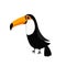 Toucan Toco Big yellow beak. Beautiful Exotic tropical bird. Zoo baby animal collection. Cute cartoon character. Decoration