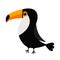 Toucan Toco Big yellow beak icon. Beautiful Exotic tropical bird. Zoo baby animal collection. Cute cartoon kawaii baby character.