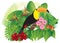 Toucan in Tropical Forest with Foliage and Flowers Color vector