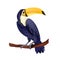 Toucan vector illustration, exotic tropical sitting bird isolated on white, yellow beak, purple feather.