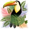 Toucans Hawaiian Summer Mood Vector Illustration