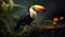 Toucans is the most beautiful birds in the world, ranked number 4 in natural beauty