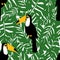 Toucans with tropical leaves seamless pattern. Green palm leaves background.
