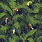 toucans among tropical palms seamless