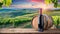 A touch of elegance: red wine idyll in the Tuscan sun