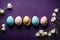 A Touch of Spring: Gypsophila-Topped Eggs on a Soft Purple Background