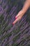 Touching lavender fields