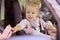 touching moment of mother's farewell to child. The child sits in the car