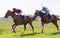 Tough fight between jockeys riding arabian race horses on the race track