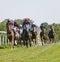 Tough fight between many jockeys riding arabian race horses, trees in the background