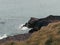 Tough grass, rock. Coastal rocks. Seascape, rock formation