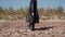 A tough guy in a black raincoat and a hat goes through the desert. He looks like a tracker.