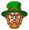 Tough Leprechaun Macot