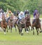 Tough race between race horses